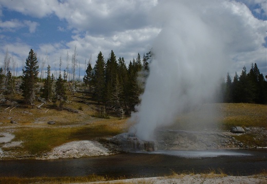 Yellowstone