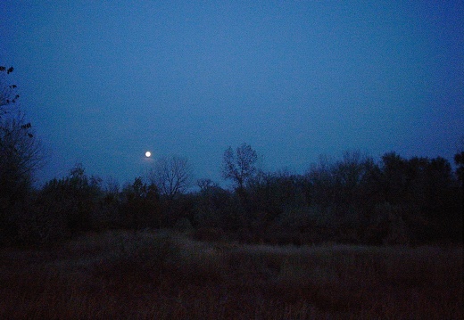 Autumn Moon