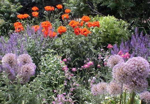 Denver Botanical Gardens