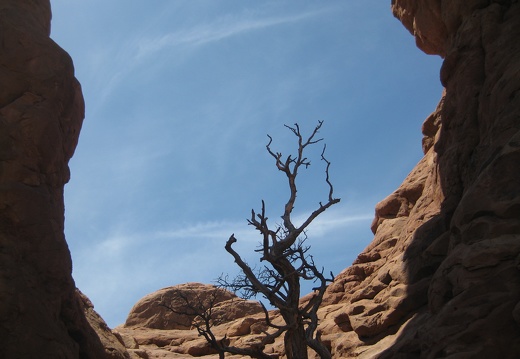 Canyonlands National Park